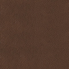 DeepWakes 2 Seat PWR REC Sofa ADJ HDREST